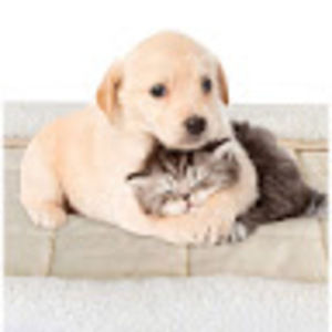 Meet your Posher, Myron